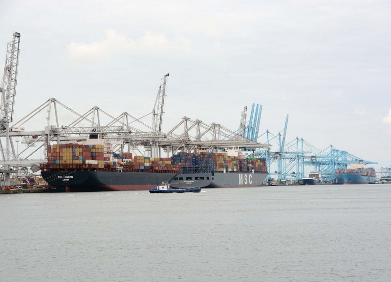 The Maasvlakte 1 container port with the 71,776gt Zim London, the 140,259gt MSC Faustina, the 7,519gt Lisa and the 170,794gt Elly Maersk in port.