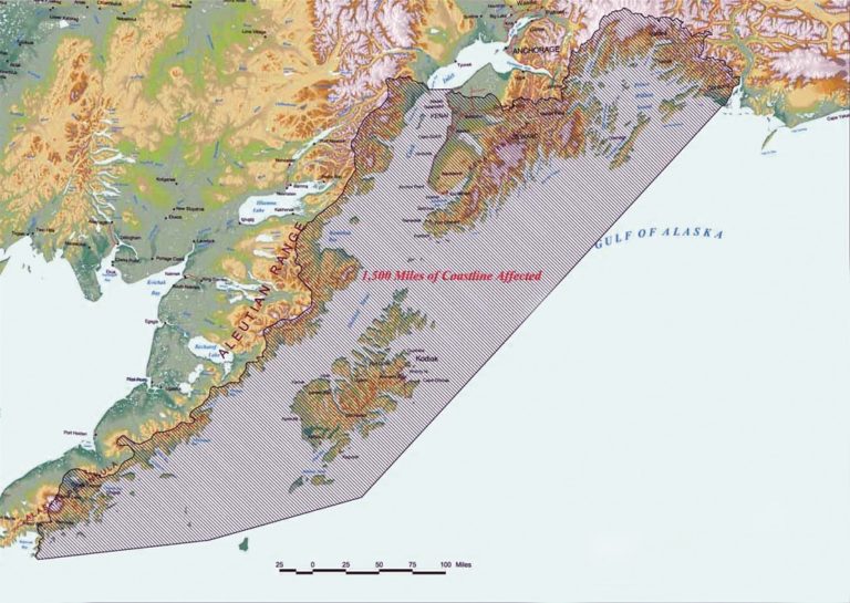 The Exxon Valdez An Environmental Disaster Shipping Today