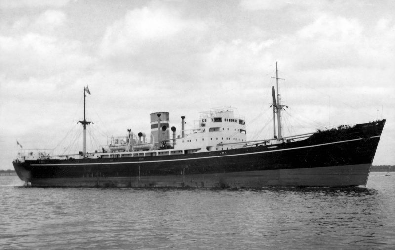 August’s unknown ship brought many replies, most of whom identified her as the Irish Pine.