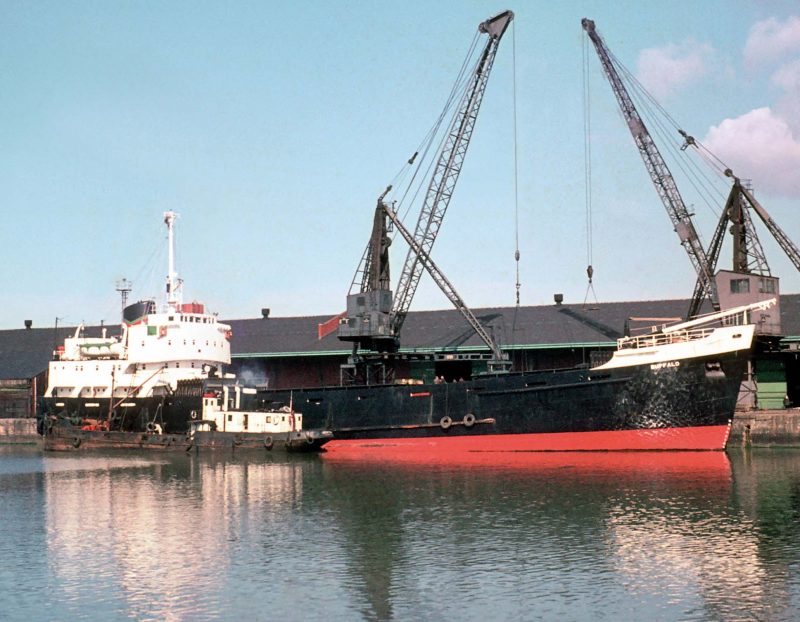 The 2,163grt Buffalo at Liverpool in Link Line colours. She was built in 1962 by Ardrossan Dockyard. In 1972 she was converted into a containership and renamed Norbrae for sister company Tyne-Tees Shipping. They renamed her Roe Deer in 1974. In 1977 she was sold to Canadian company Harvey Container Ship Ltd. and renamed Newfoundland Carrier. In 1985 she became Caribbean Victory of Victory Seaways, and in 1986 she moved to Renaissance Maritime as Lefkimmi. They renamed her St. George in 1989 and in 1992 she was sold to International Shipping of Belize and renamed Container Express. She was reported to have been scuttled on 12th January 1999.